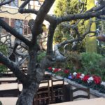 La Colombe d'Or, where Picasso and Matisse got discovered