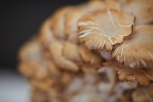 How To | Beat Fatigue | Food and Travel, Foodies | Discover Out Loud