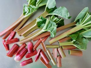 Food Waste | Simple and Creative recipes | Food & Travel | Foodies | Discover Out Loud