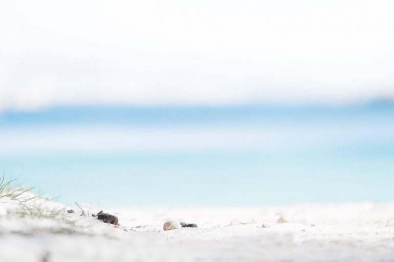 Shiomda, the Hamptons of the East