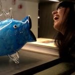 Atlantis by Giardino - from staycation to vacation, all in one breath