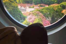 a week in São Paulo - So Unique